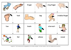 Domino-body-3-B.pdf